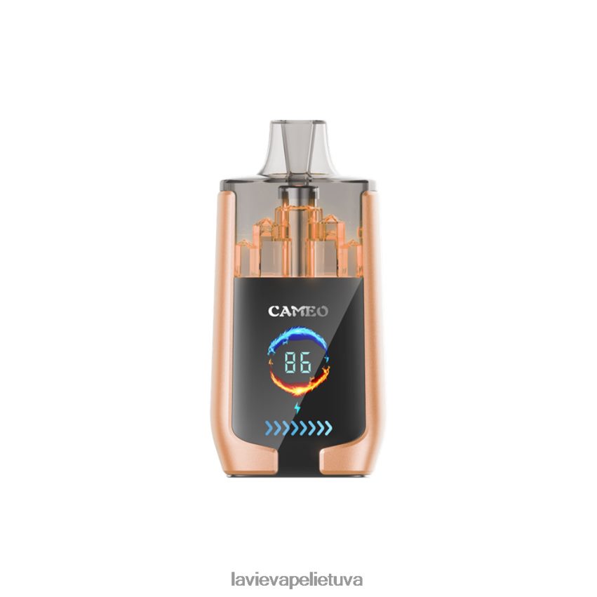 N226RV22 Lavie Vape Kaina | vyšnia LAVIE CAMEO 30 000 įkvėpimų